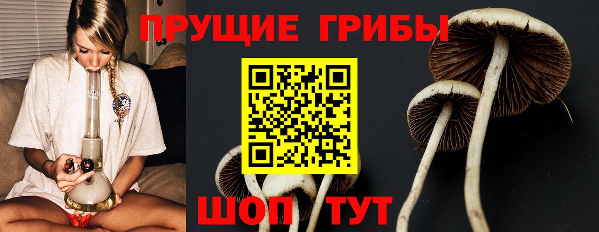 Галлюциногенные грибы ЛСД Ставрополь