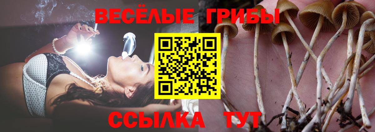 Ставрополь  Галлюциногенные грибы ЛСД  Вход с VPN 